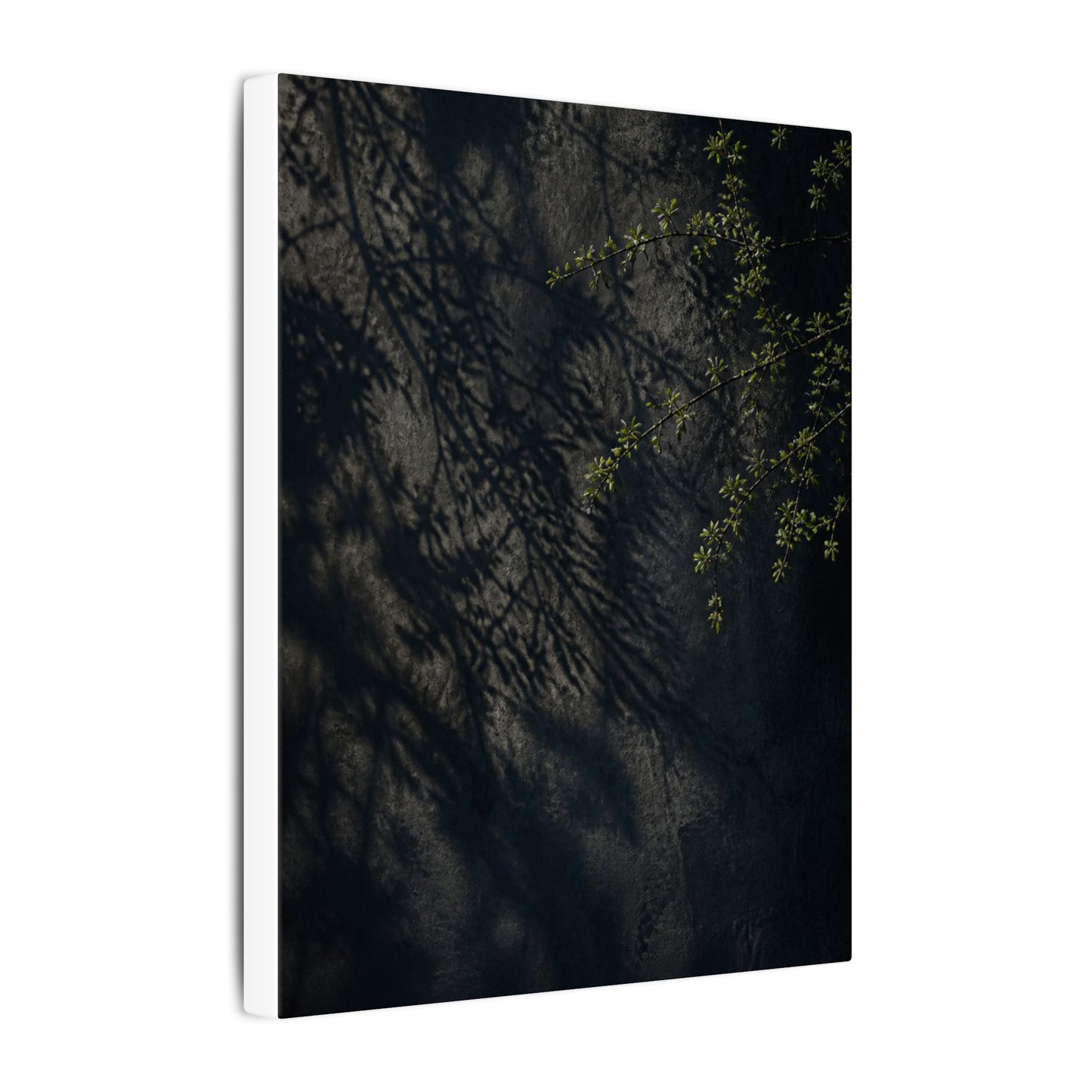 Overcast Shadow Play Canvas Art - Dark Japandi Seijaku