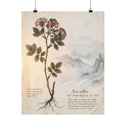Winter Mountain Mist Herbarium Wall Art Print | Rustic Decor