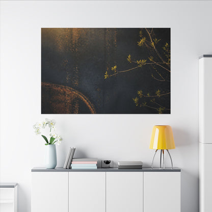 Spring Rust Patina Dark Texture Canvas Art | Moody Decor