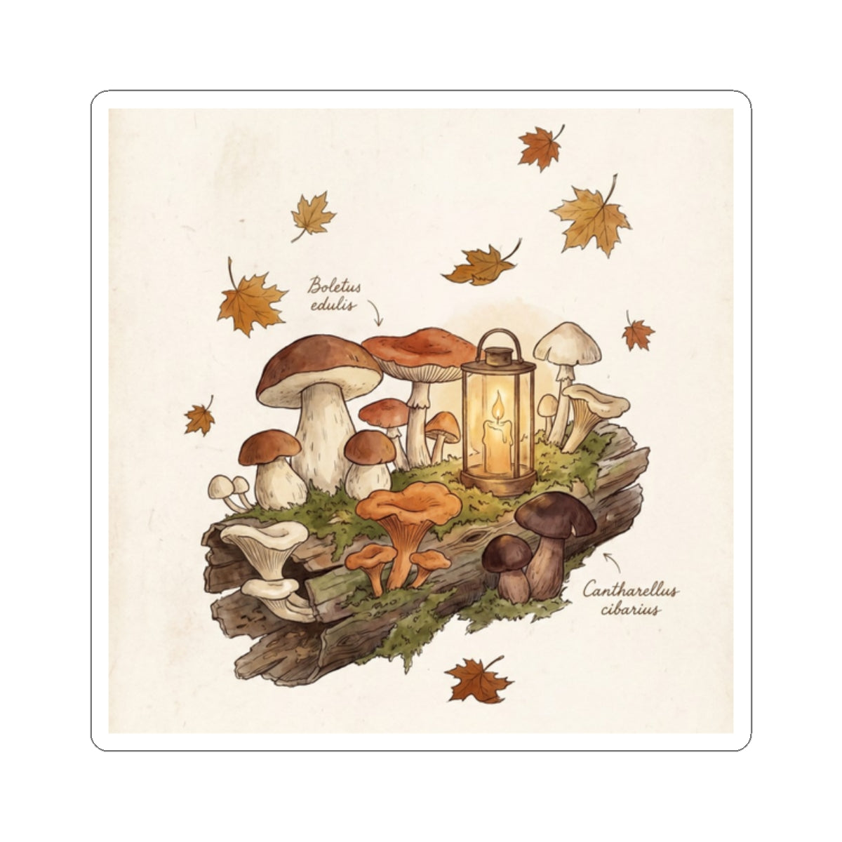 Autumn Wild Mushrooms Forest Whimsy Sticker | Earthy Decor