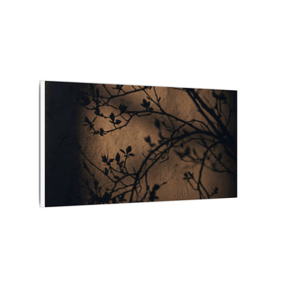 Dark Japandi Shadow Play in Golden Hour | Shadow Zen Canvas Art