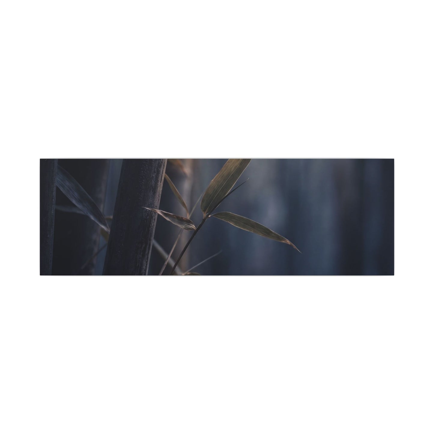 Dark Japandi Bamboo Grove in Dawn | Moody Minimal Canvas Art