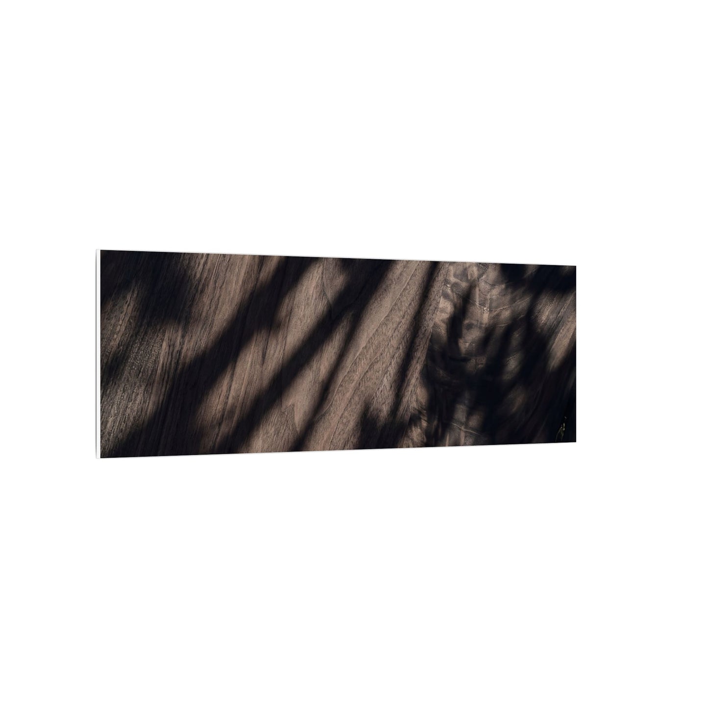 Shadow Play Summer Canvas Art | Dark Japandi Moody Design