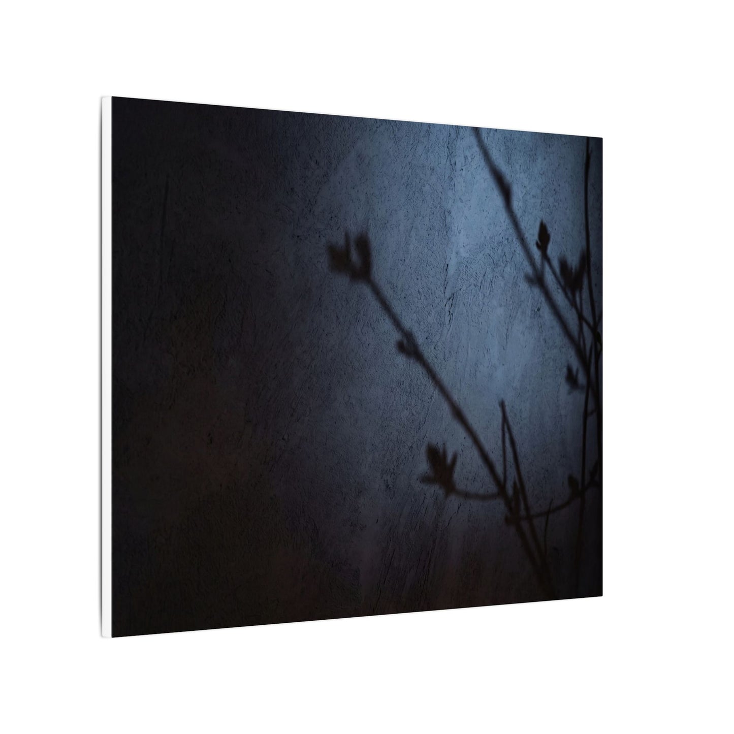 Shadow Play Canvas Art | Spring Dark Japandi Moody Minimal Art