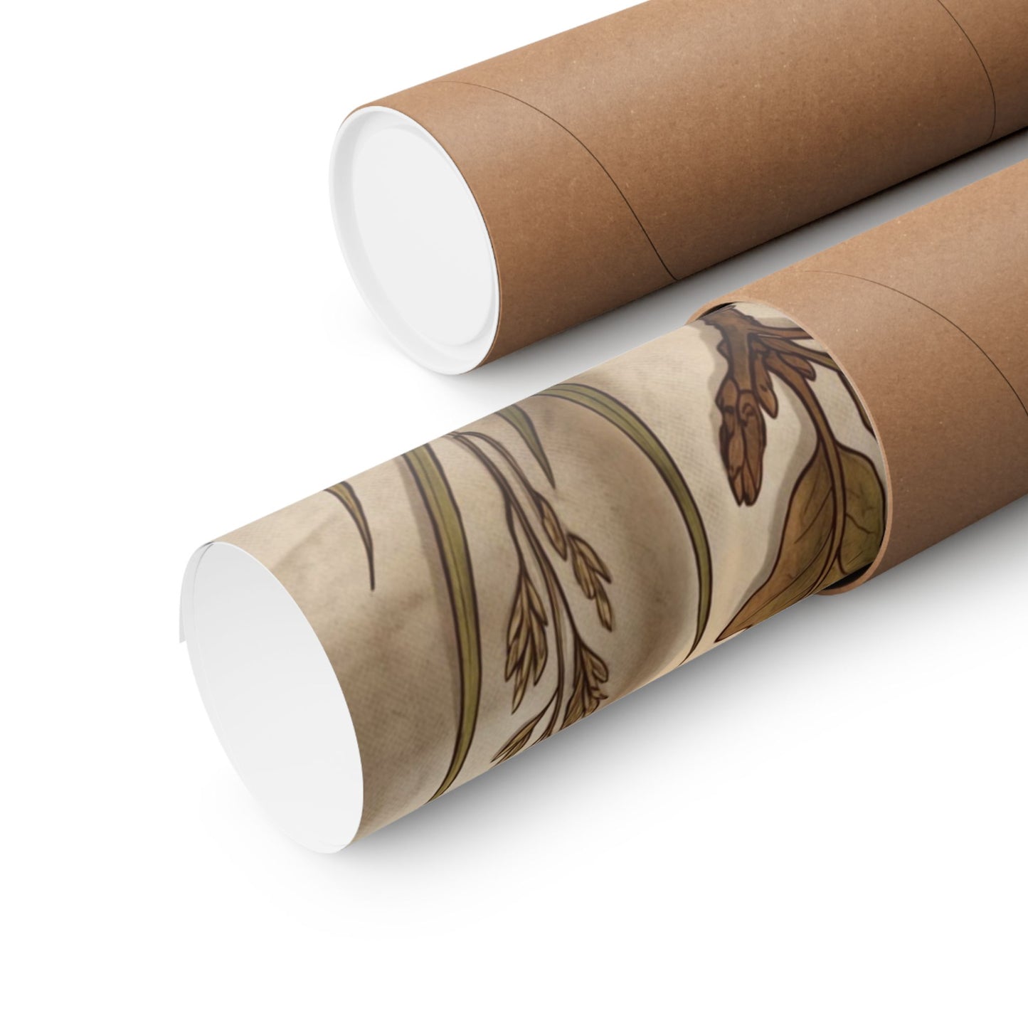 Spring Silk Drape Herbarium Wall Art Print | Nostalgic Decor