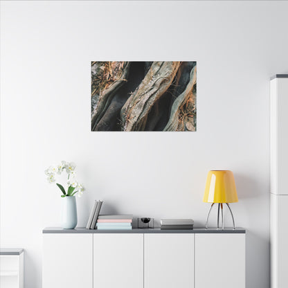 Silk Drape Winter Canvas Art | Japandi Cozy Design