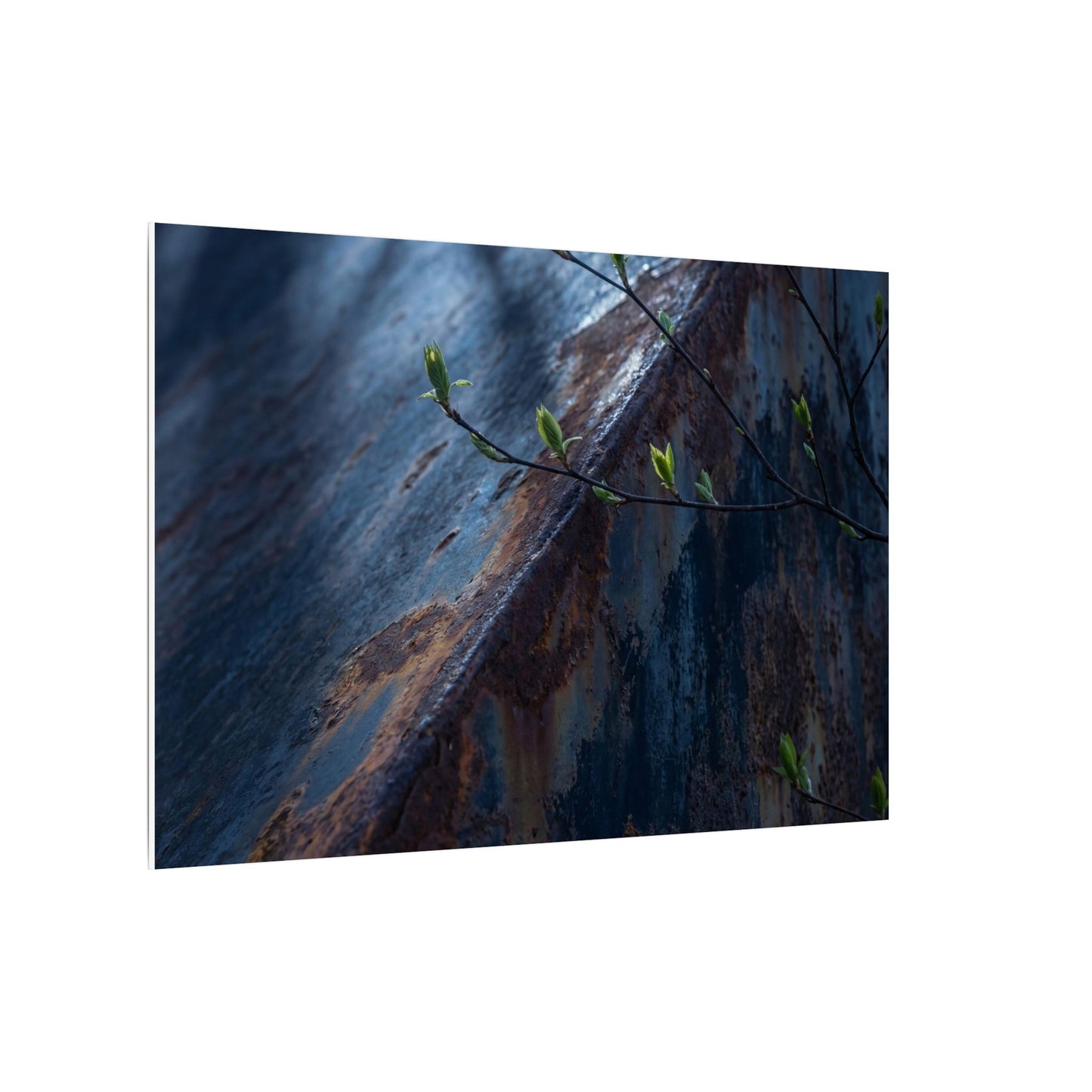 Rust Patina Canvas Art | Spring Dark Japandi Shadow Zen Art
