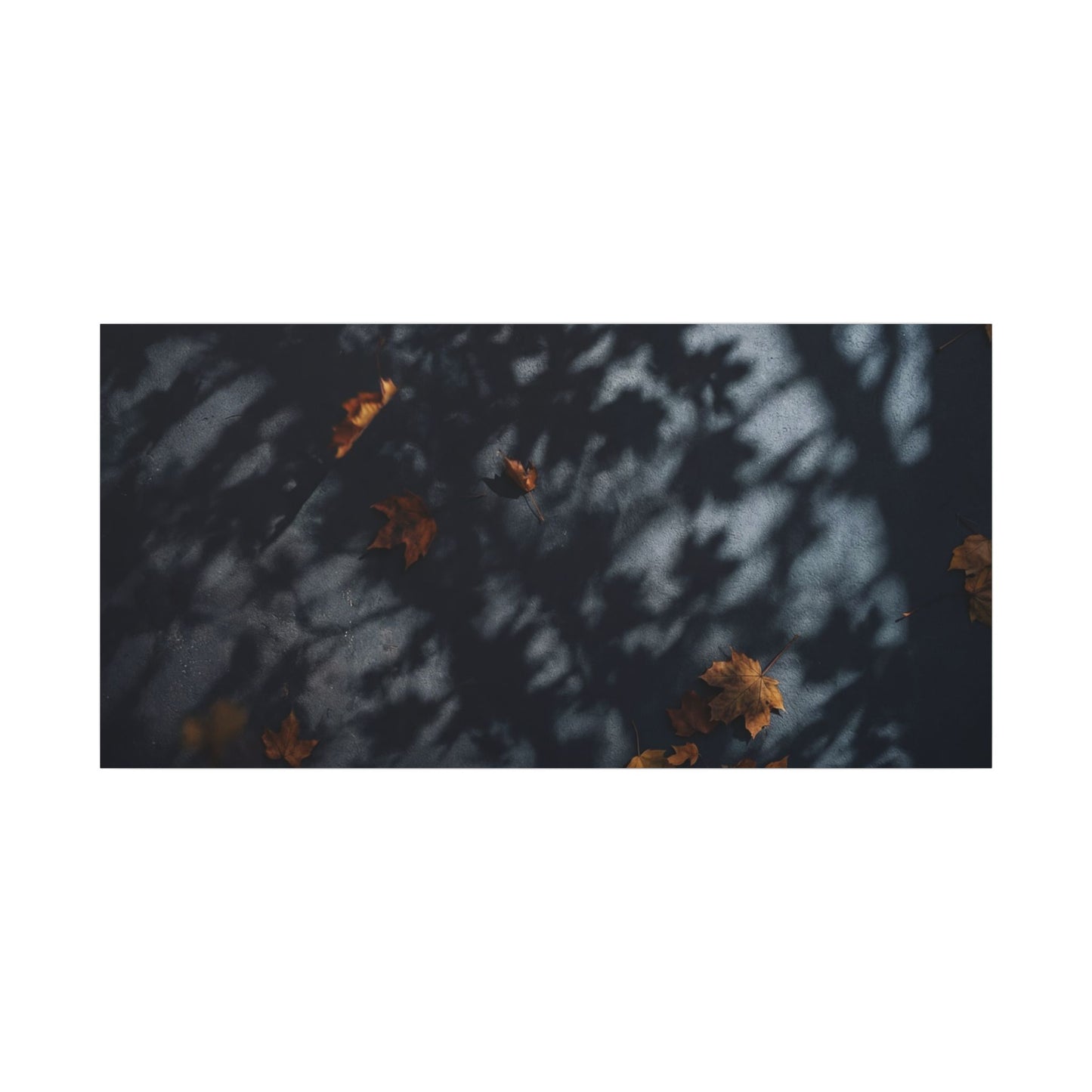 Autumn Shadow Play Shadow Zen Canvas Art | Atmospheric Decor