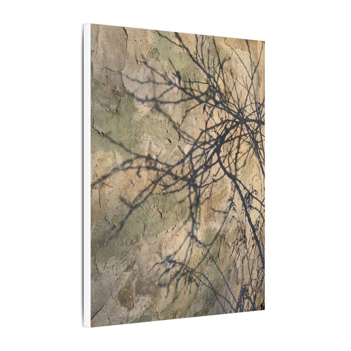Japandi Shadow Play in Golden Hour | Texture Canvas Art