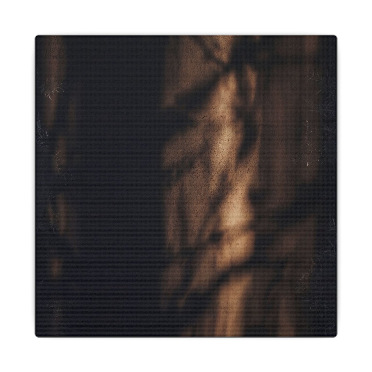 Winter Shadow Play Moody Minimal Canvas Art | Luxurious Decor