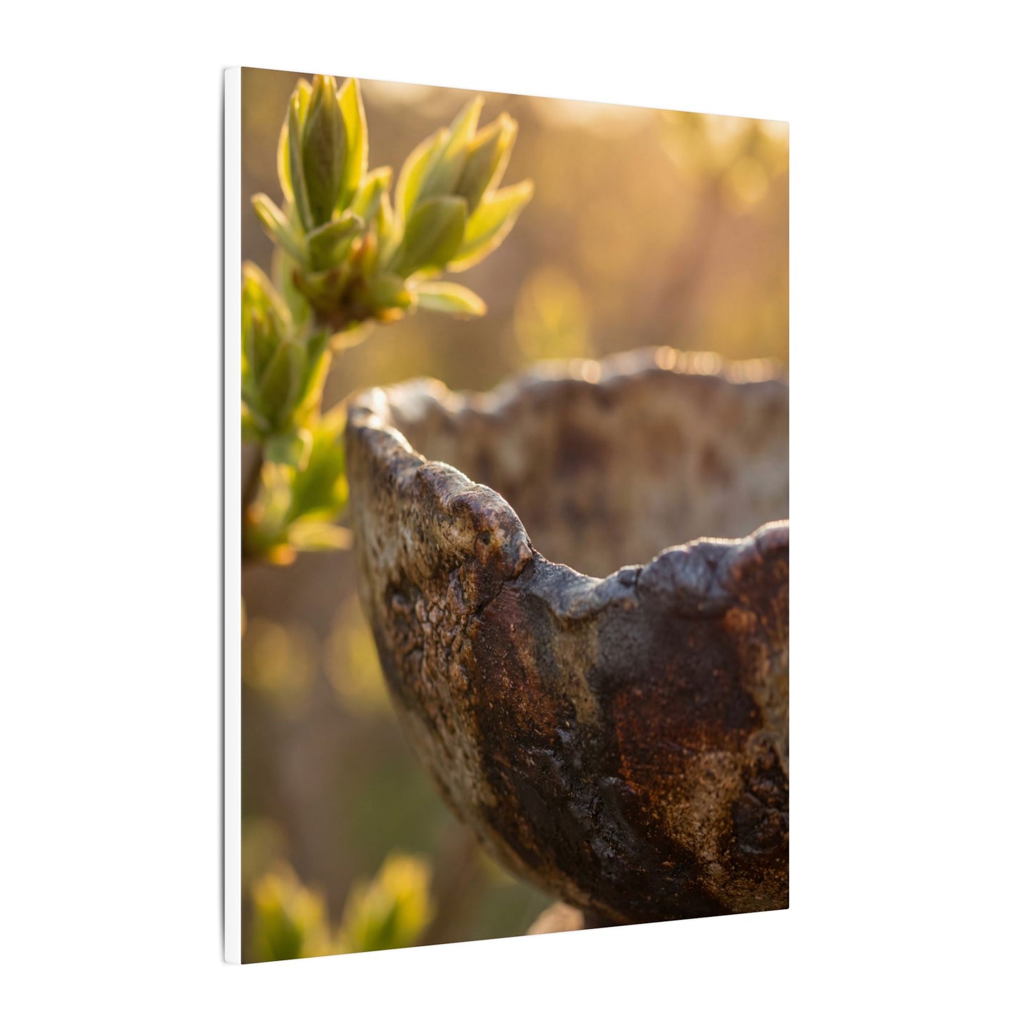 Golden Hour Ceramic Bowl Canvas Art - Dark Japandi Ma