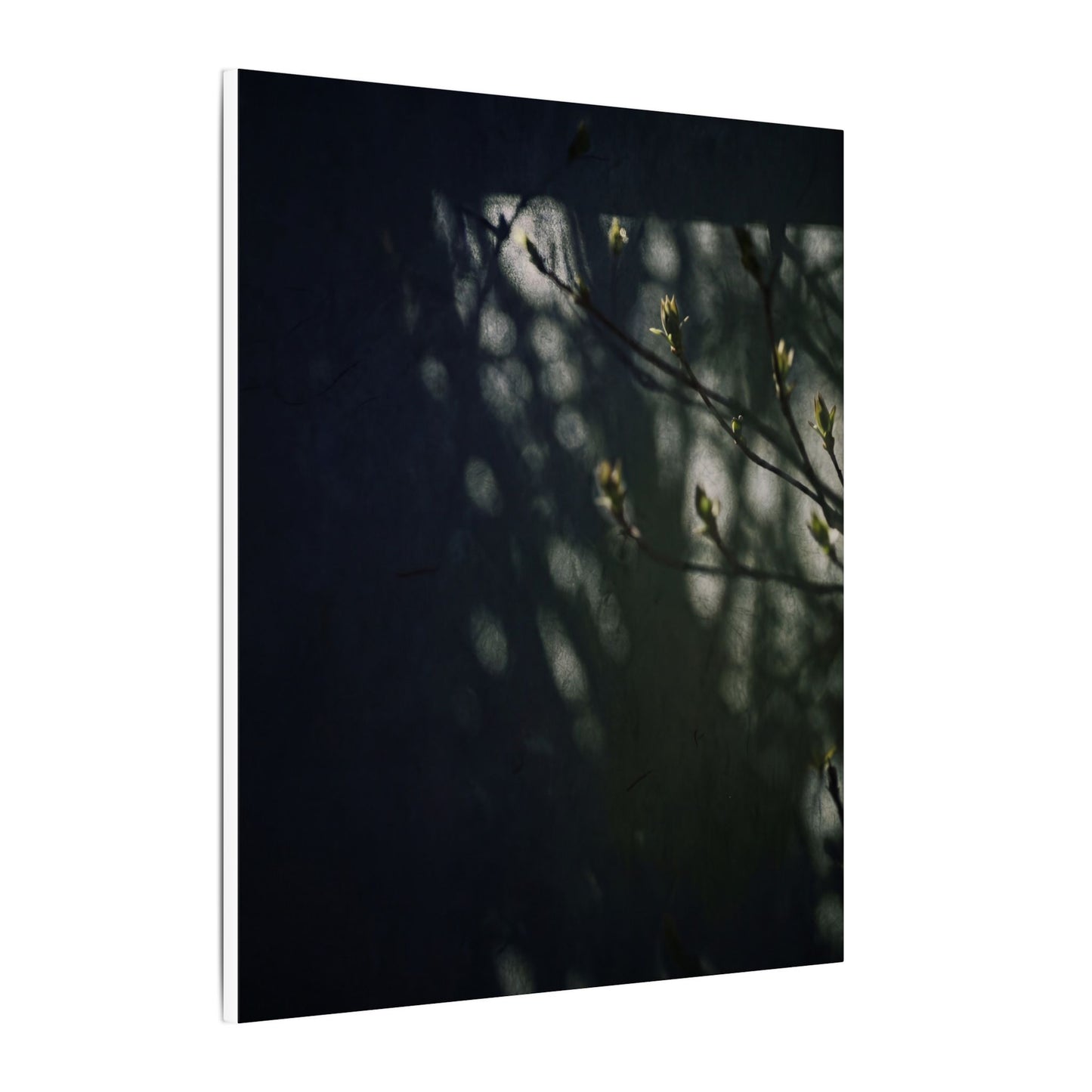 Dark Japandi Shoji Screen in Dappled | Moody Minimal Canvas Art