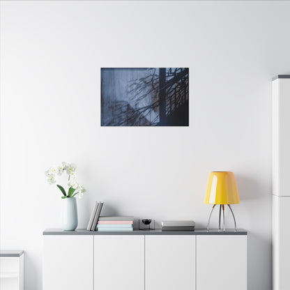 Shadow Play Moody Minimal Canvas Art | Moody Dark Japandi Art