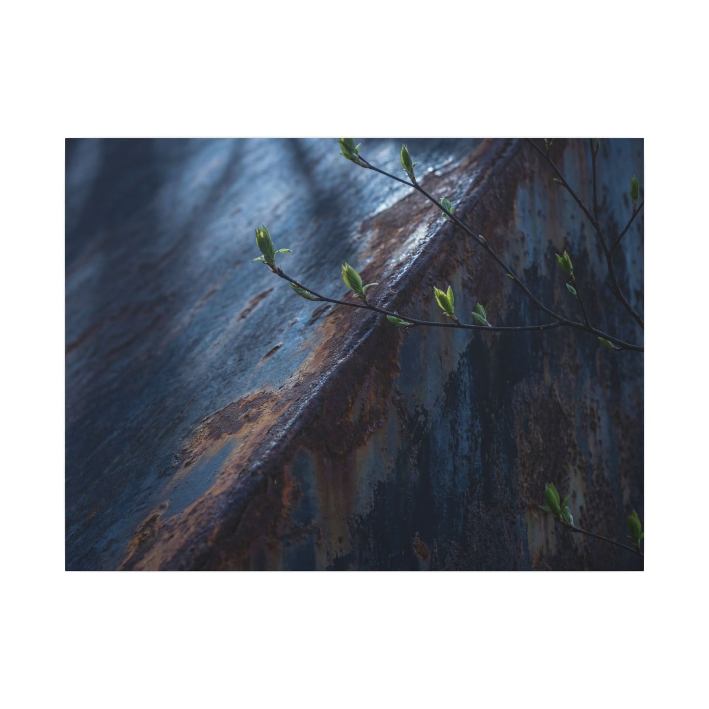 Rust Patina Canvas Art | Spring Dark Japandi Shadow Zen Art