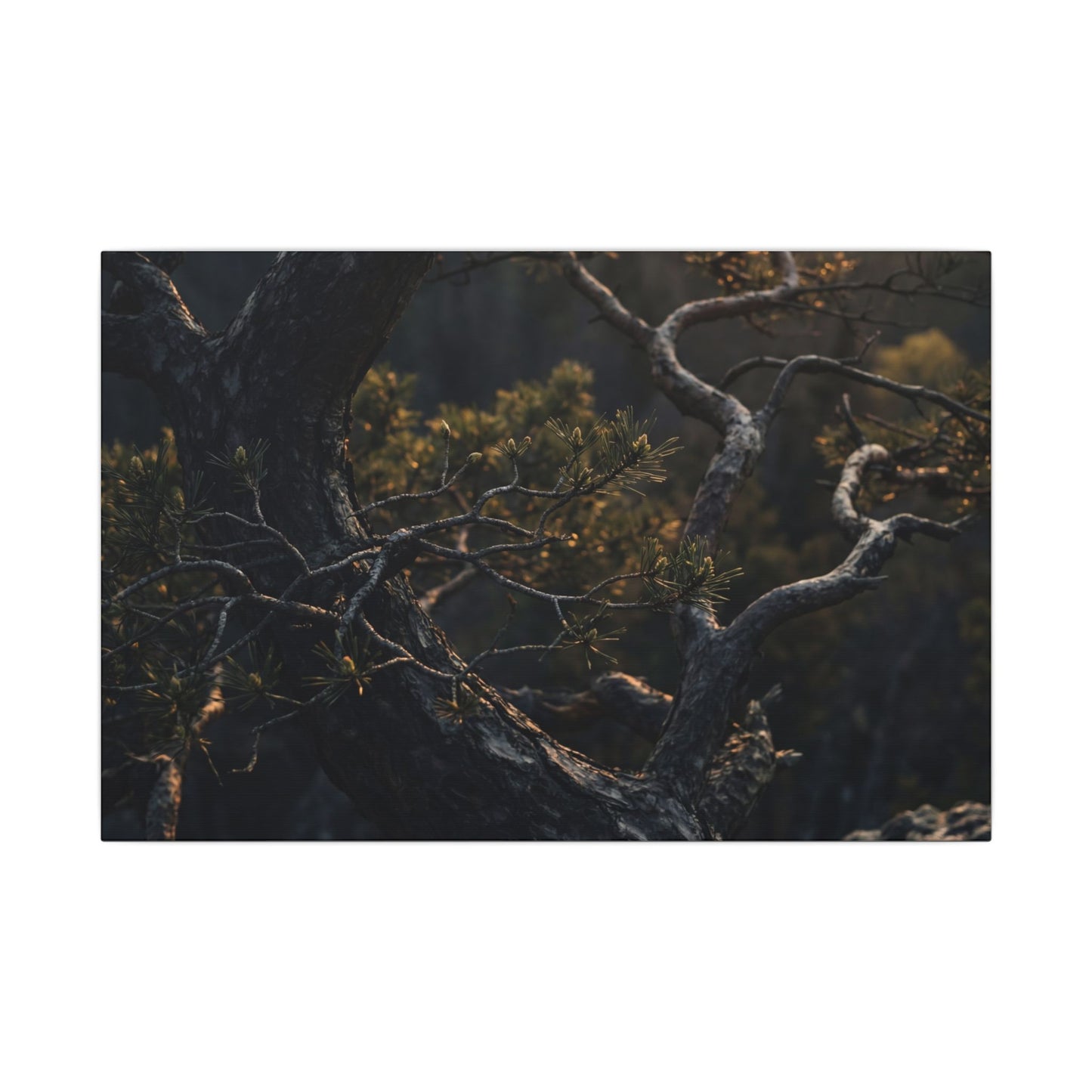 Moody Pine Tree Canvas Art - Moody Minimal Dark Japandi
