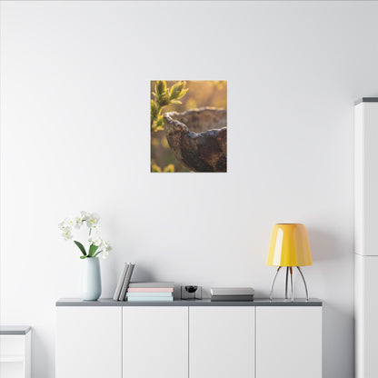 Golden Hour Ceramic Bowl Canvas Art - Dark Japandi Ma