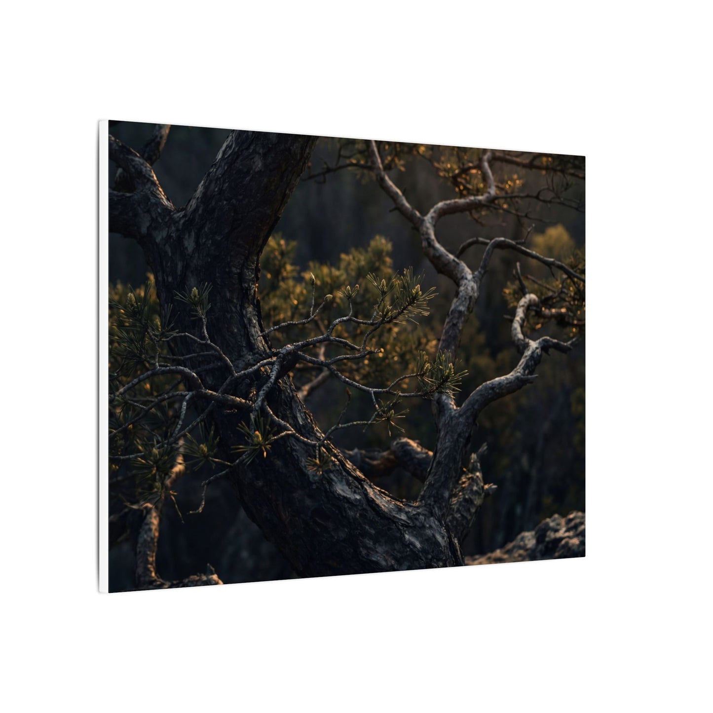 Moody Pine Tree Canvas Art - Moody Minimal Dark Japandi