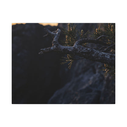 Pine Tree Moody Minimal Canvas Art | Sophisticated Dark Japandi Art Art Print
