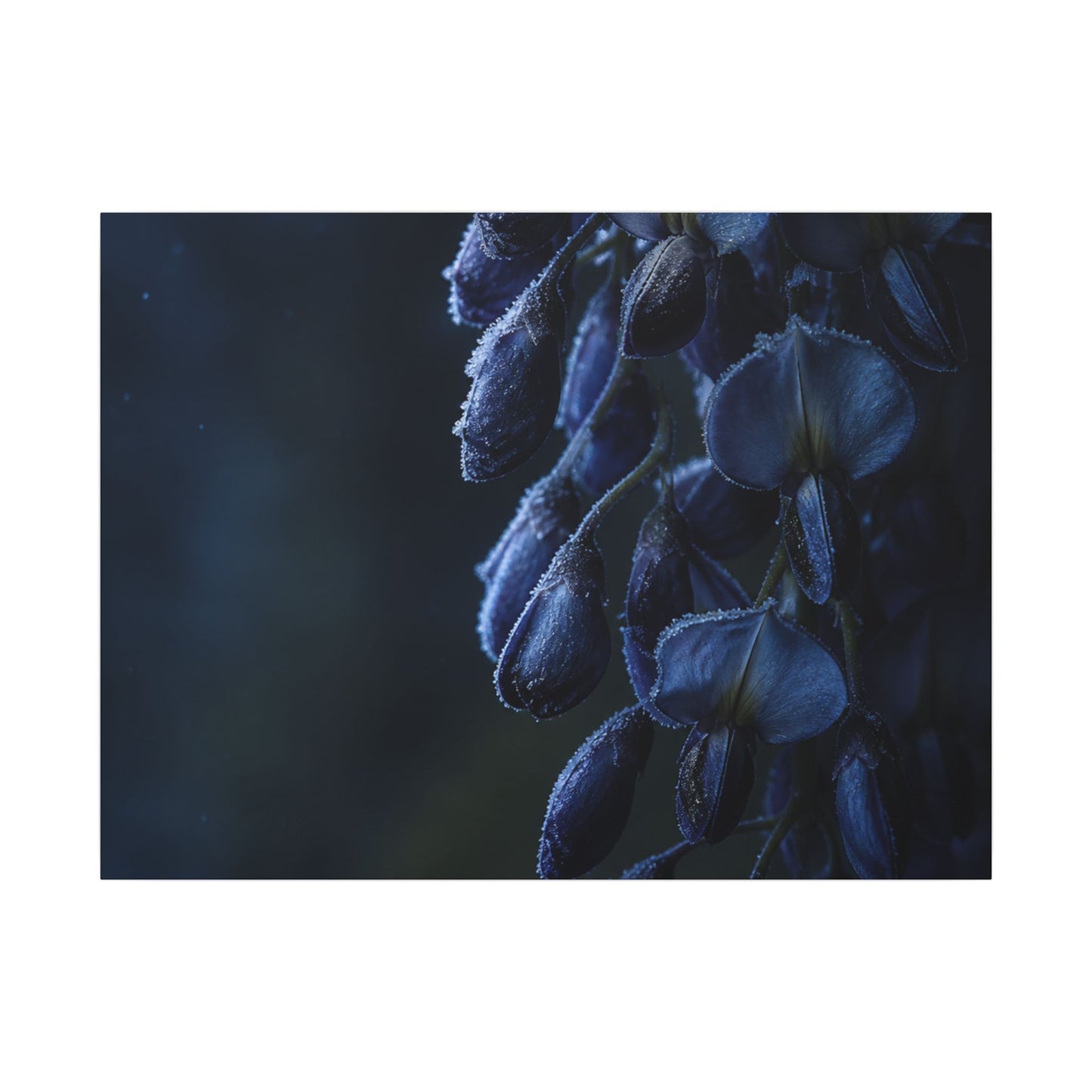 Winter Wisteria Shadow Zen Canvas Art | Atmospheric Decor