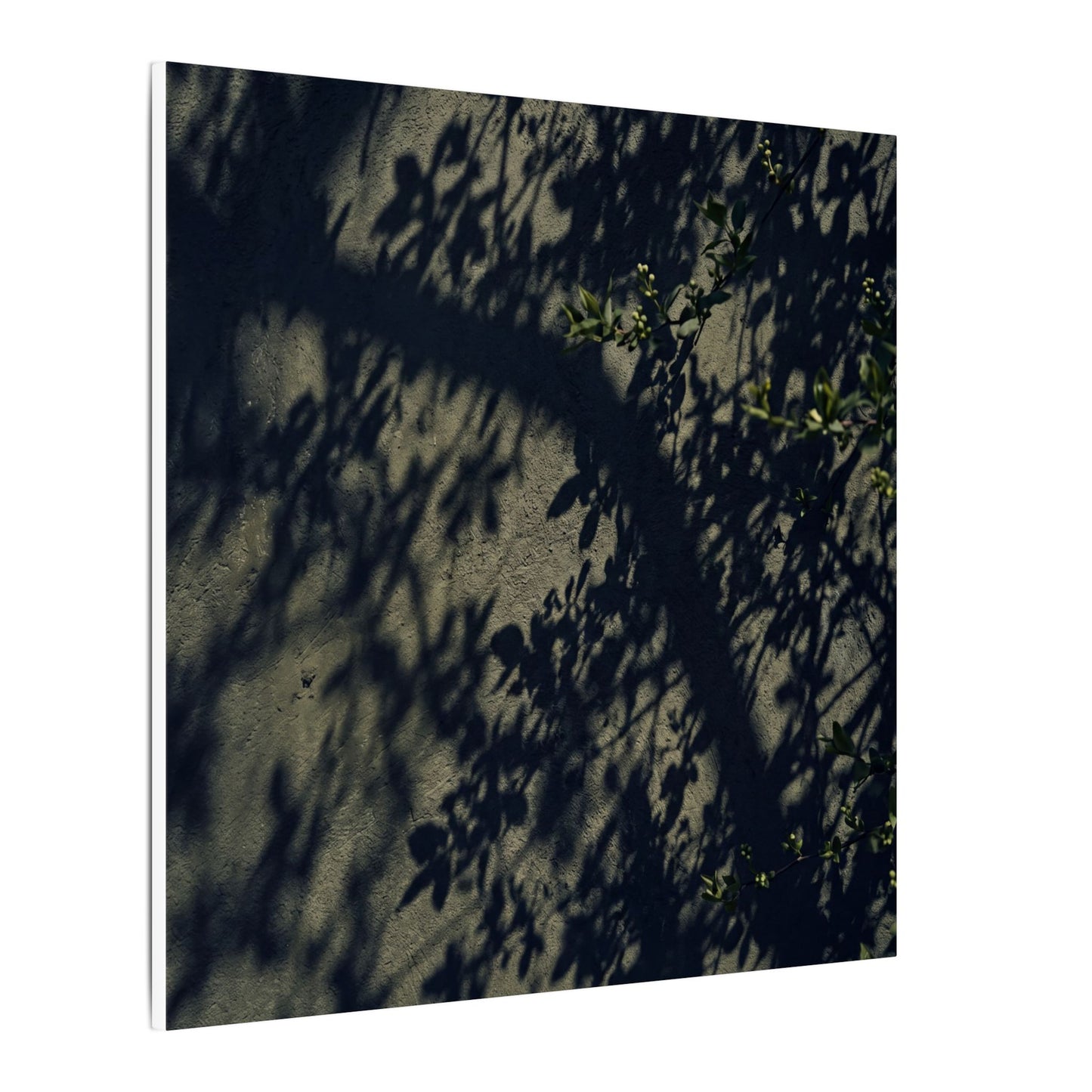 Atmospheric Shadow Play Canvas Art - Moody Minimal Dark Japandi