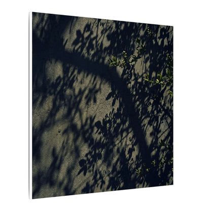 Atmospheric Shadow Play Canvas Art - Moody Minimal Dark Japandi