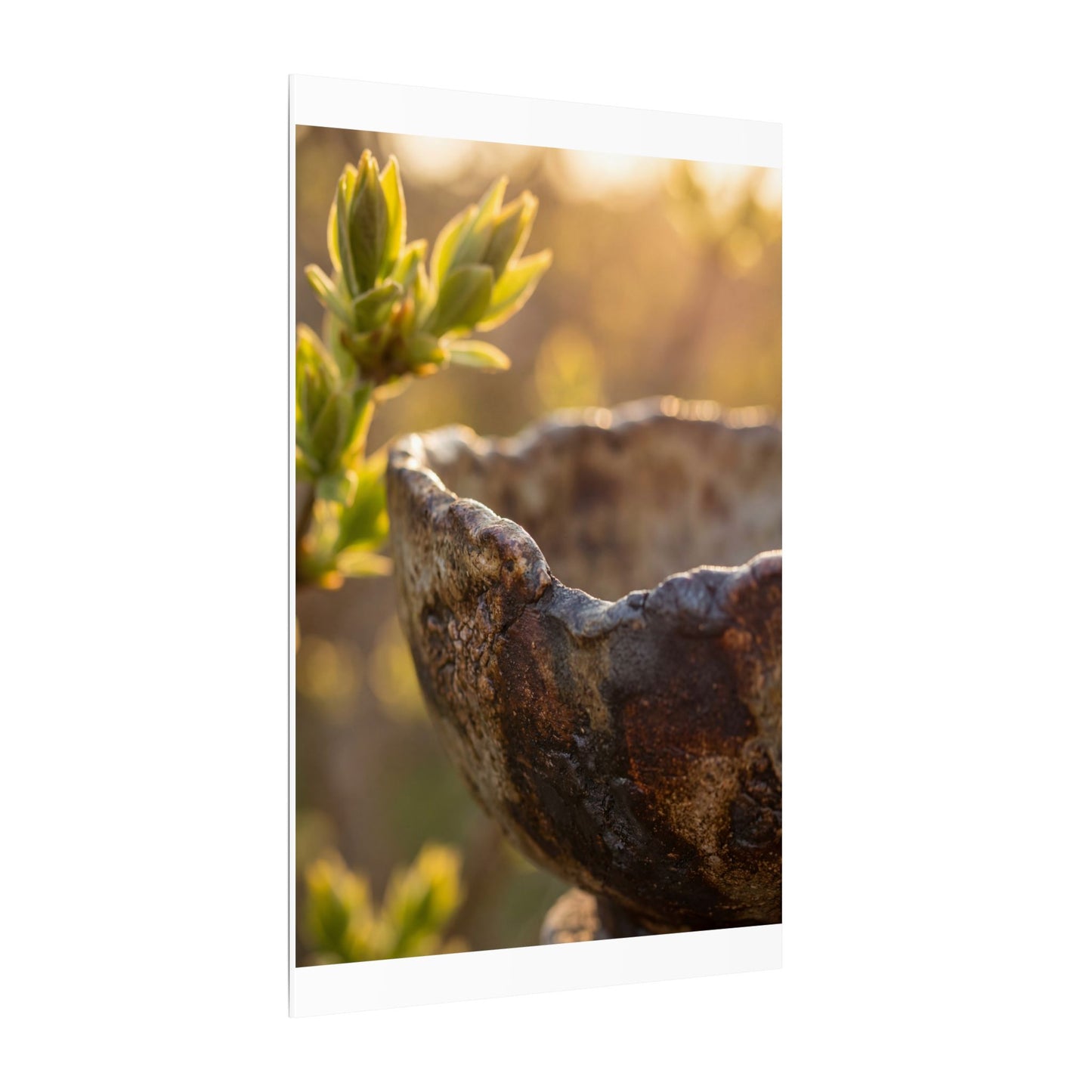 Golden Hour Ceramic Bowl Canvas Art - Dark Japandi Ma