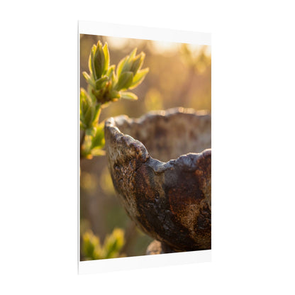 Golden Hour Ceramic Bowl Canvas Art - Dark Japandi Ma