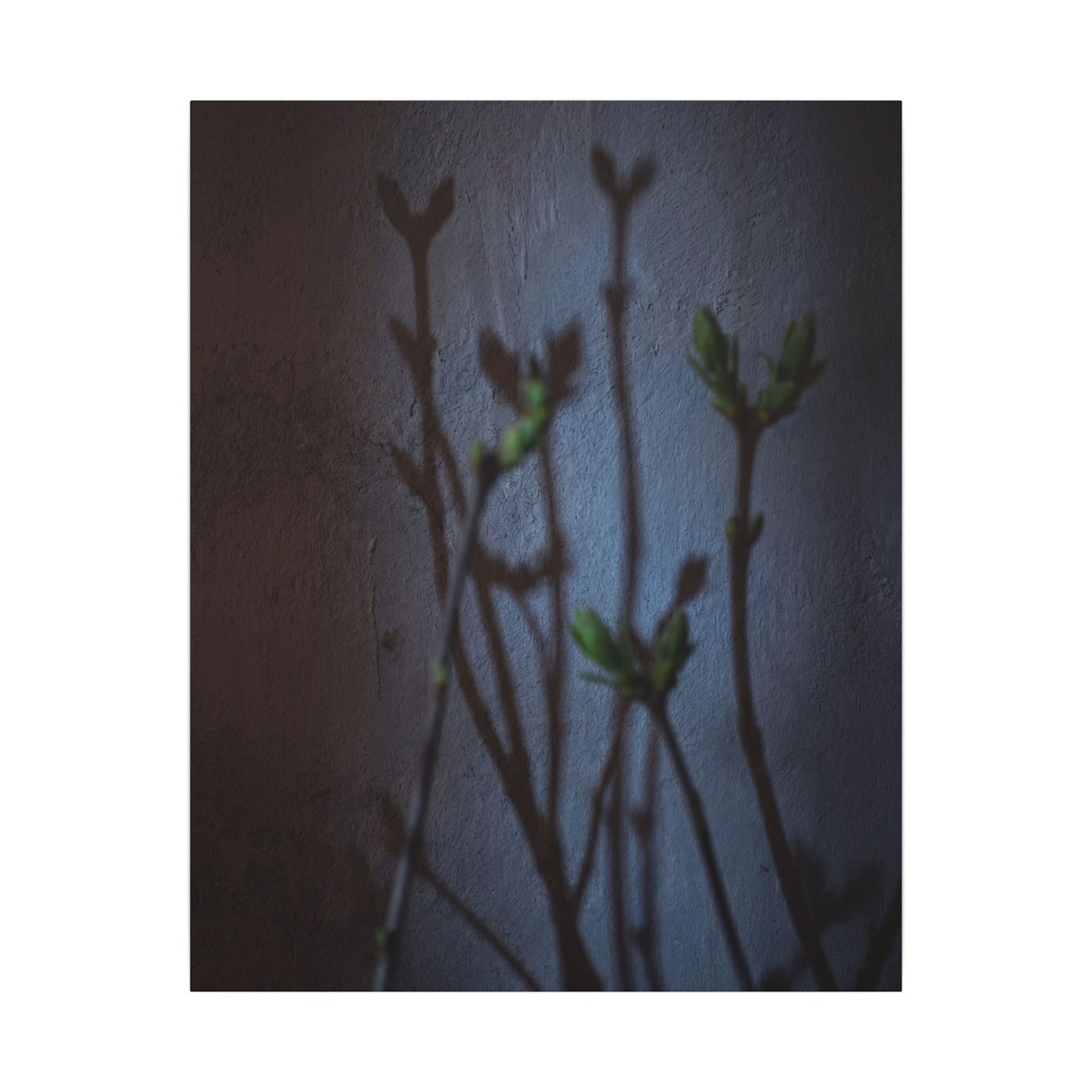 Shadow Play Spring Canvas Art | Dark Japandi Sophisticated Design
