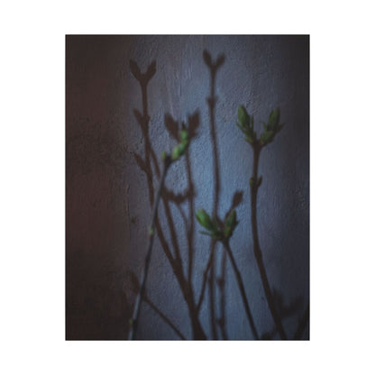 Shadow Play Spring Canvas Art | Dark Japandi Sophisticated Design