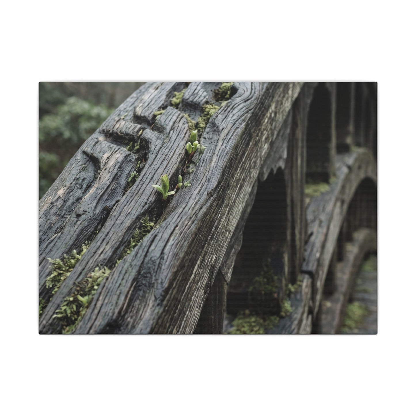 Overcast Wooden Bridge Canvas Art - Japandi Kanso Art Print