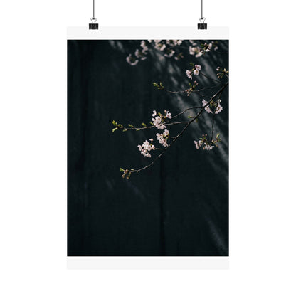 Cherry Blossom Wall Art Print | Spring Dark Japandi Moody Minimal Art Art Print