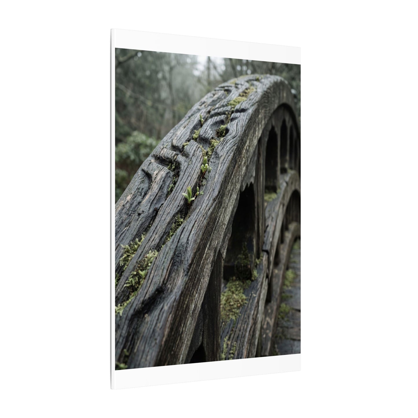 Overcast Wooden Bridge Canvas Art - Japandi Kanso