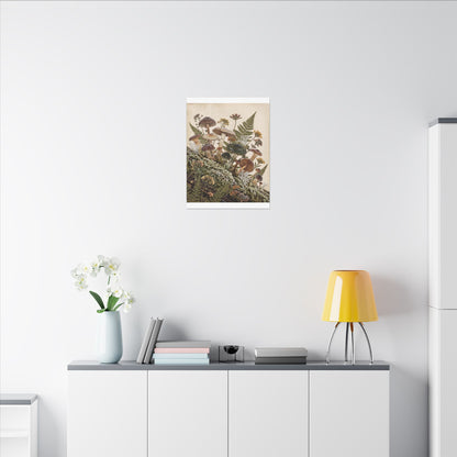 Winter Wild Mushrooms Herbarium Canvas Art | Enchanting Decor