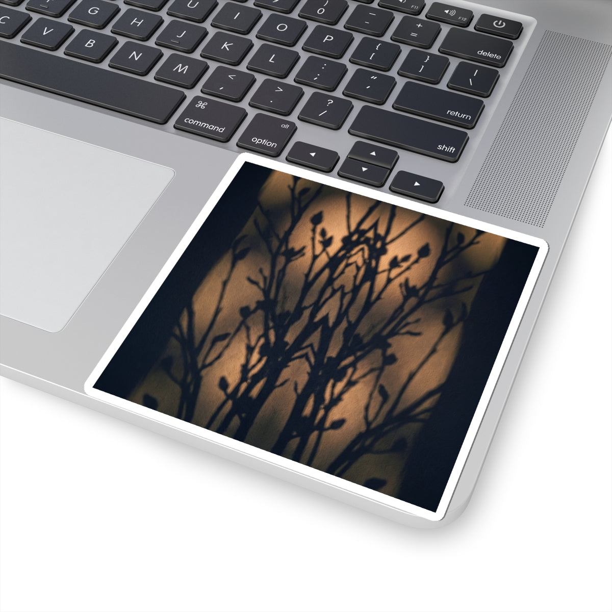 Spring Shadow Play Shadow Zen Sticker | Luxurious Decor