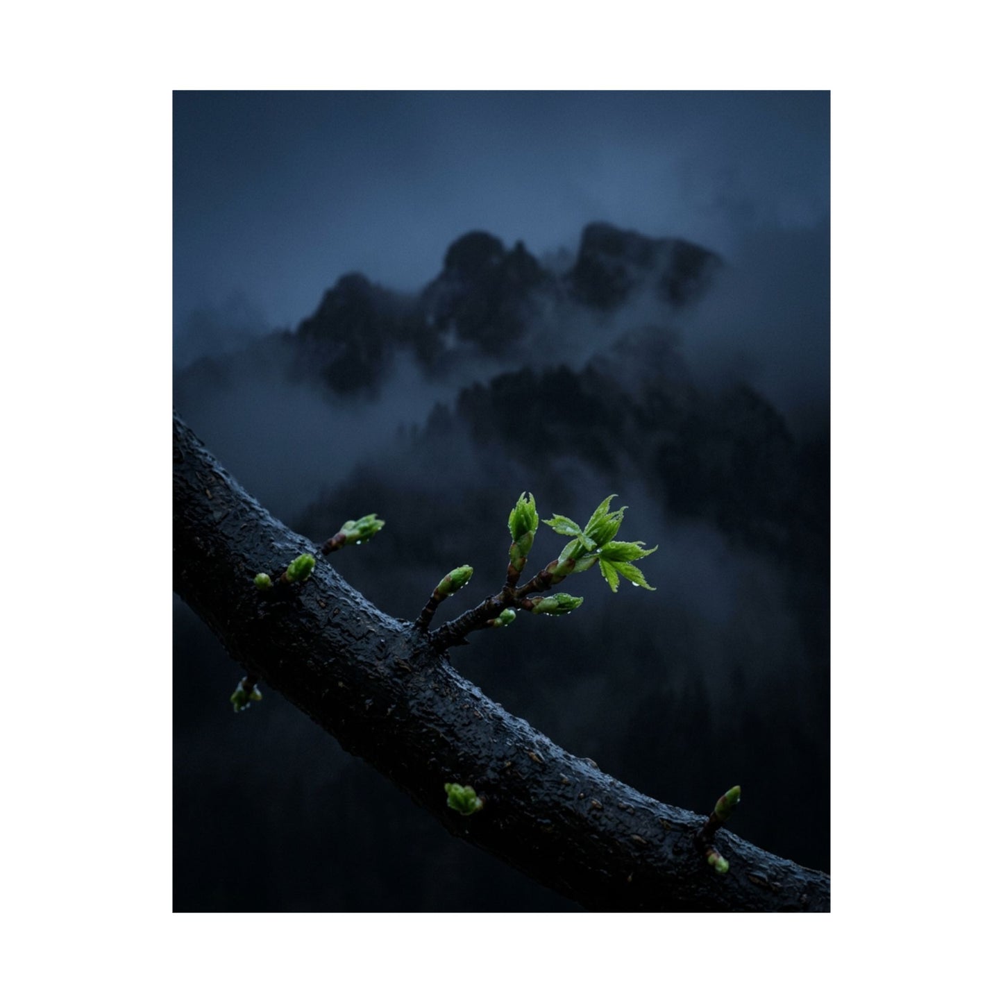 Kanso Mountain Mist Wall Art Print - Dark Japandi Moody Minimal