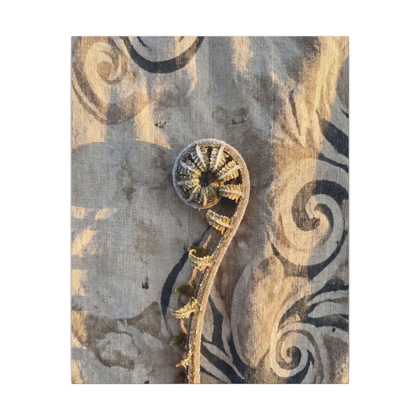 Fern Unfurling Canvas Art | Winter Japandi Japanese Pattern Art