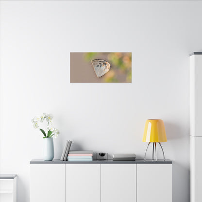 Ceramic Bowl Canvas Art | Spring Japandi Japanese Pattern Art
