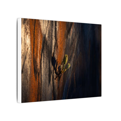 Rust Patina Charcoal Ink Canvas Art | Moody Dark Japandi Art