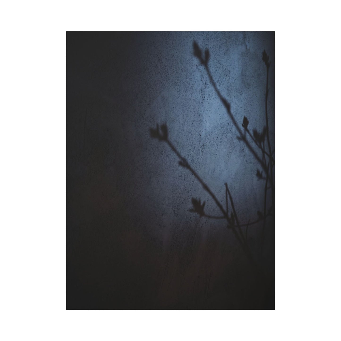 Shadow Play Canvas Art | Spring Dark Japandi Moody Minimal Art