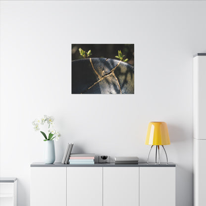 Seijaku Broken Pottery Canvas Art - Dark Japandi Shadow Zen