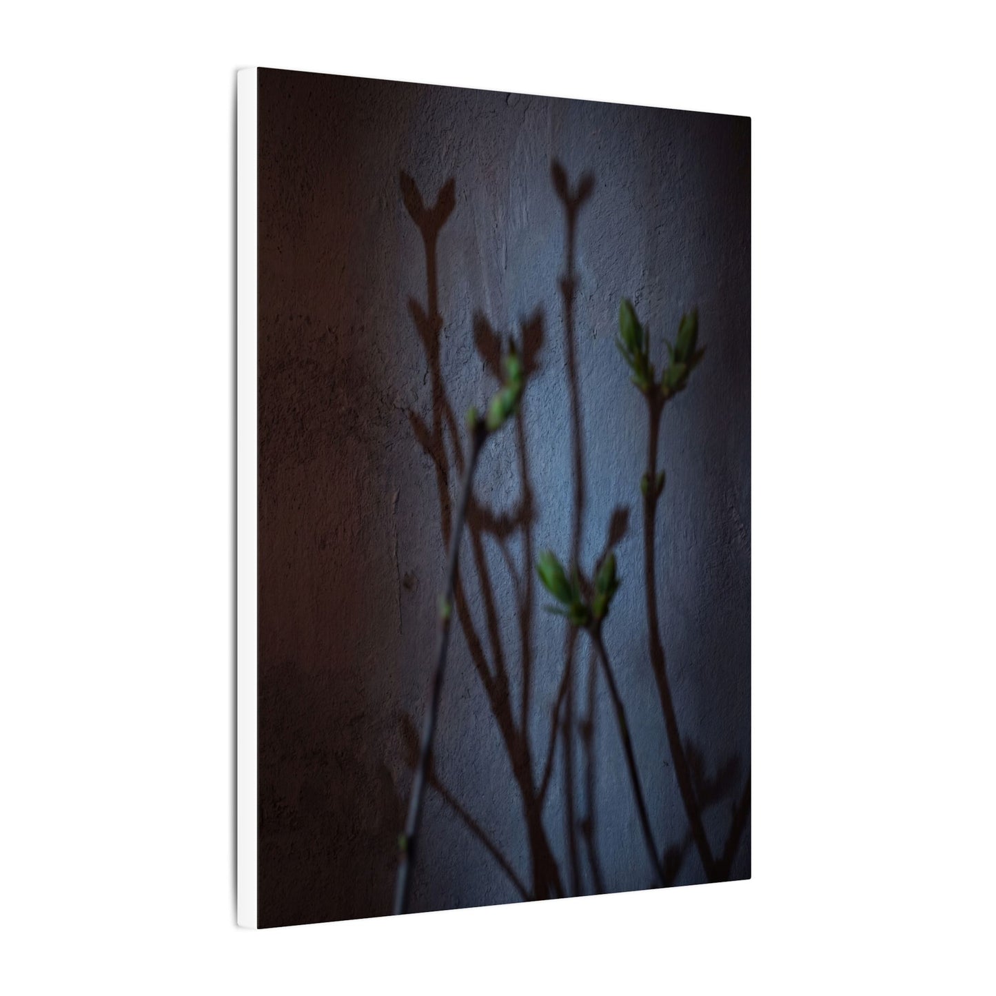 Shadow Play Spring Canvas Art | Dark Japandi Sophisticated Design
