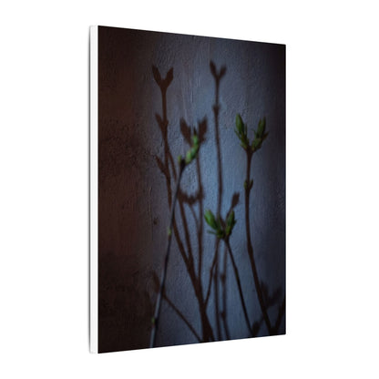 Shadow Play Spring Canvas Art | Dark Japandi Sophisticated Design