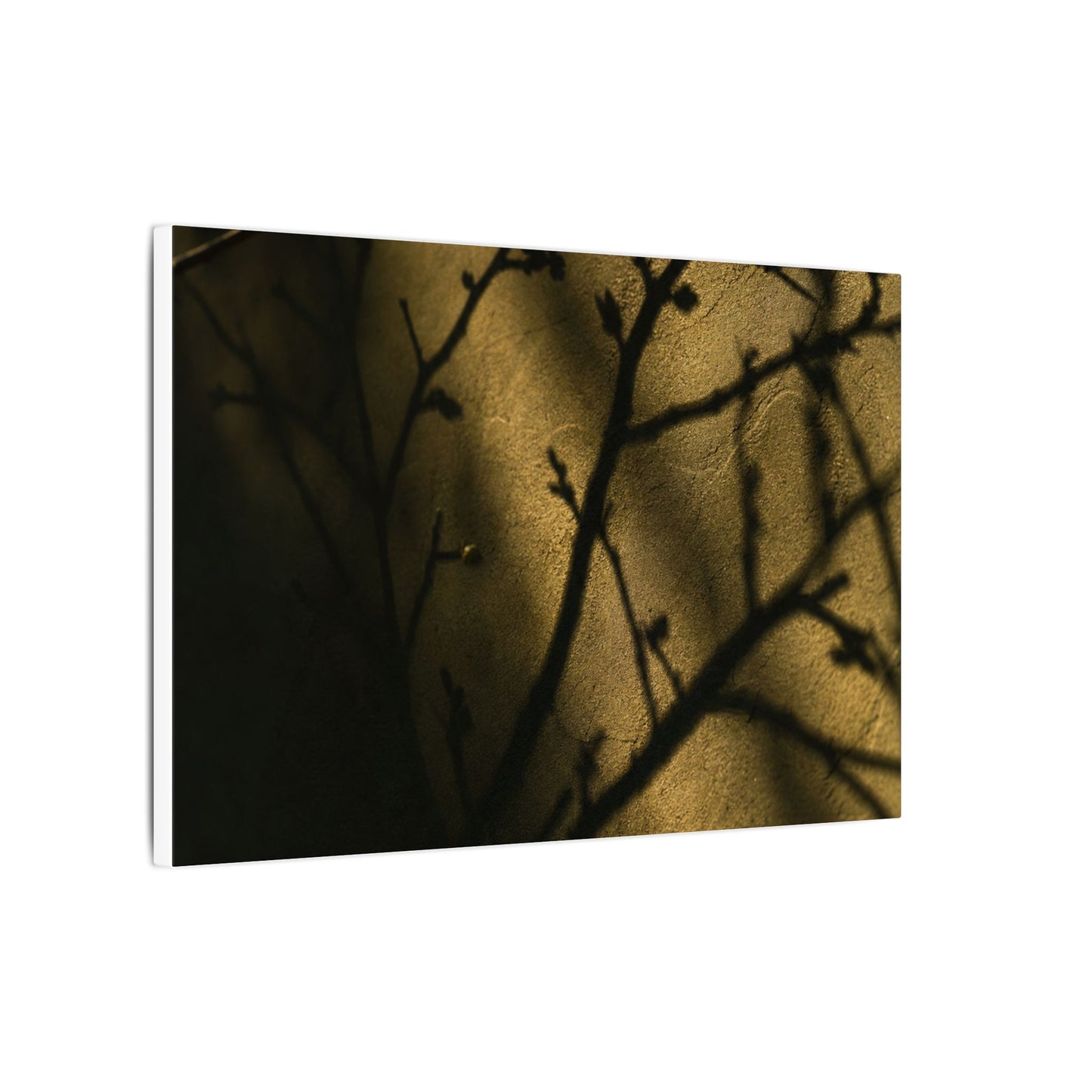 Golden Hour Shadow Play Canvas Art - Dark Japandi Seijaku