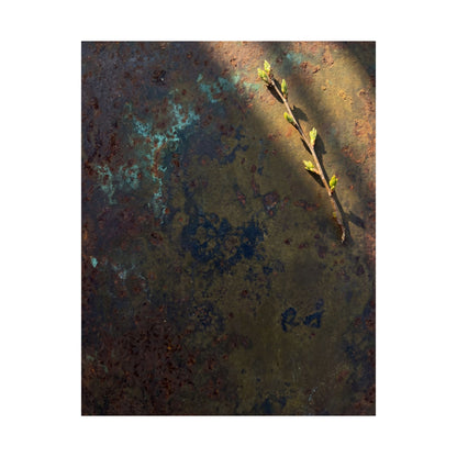Rust Patina Spring Wall Art Print | Dark Japandi Luxurious Design