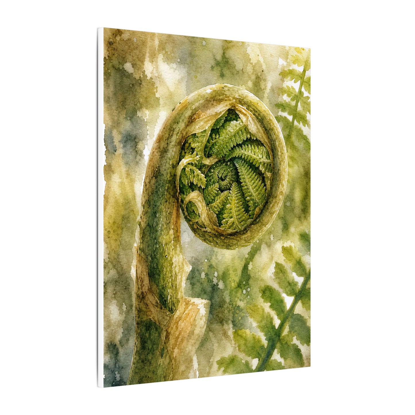 Japandi Fern Unfurling in Dappled | Watercolor Canvas Art