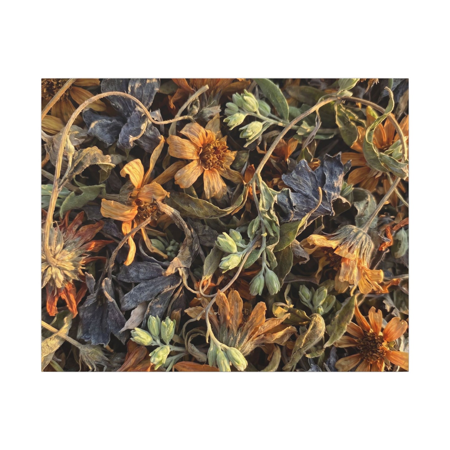Spring Dried Flowers Japanese Pattern Canvas Art | Warm Decor