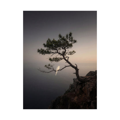 Moody Pine Tree Wall Art Print - Moody Minimal Dark Japandi