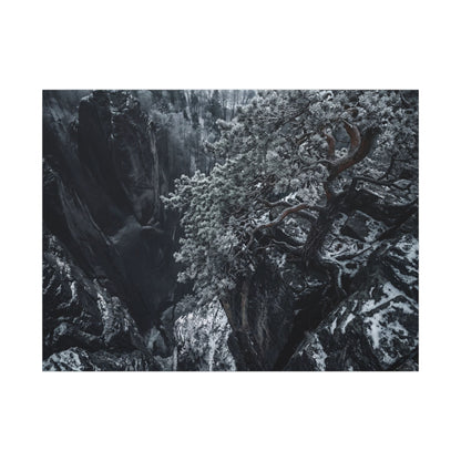 Dark Japandi Pine Tree in Dappled | Dark Texture Canvas Art Art Print