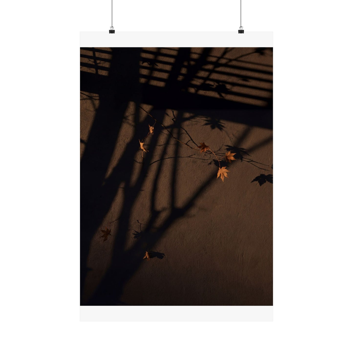 Autumn Shadow Play Shadow Zen Wall Art Print | Sophisticated Decor Art Print