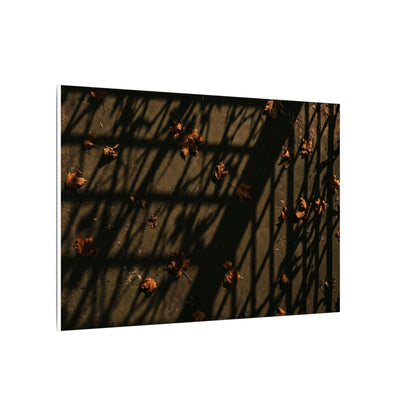 Dark Japandi Shadow Play in Golden Hour | Moody Minimal Canvas Art